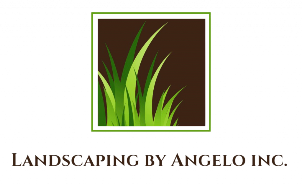 Company logo of landscaping sod and green grass.