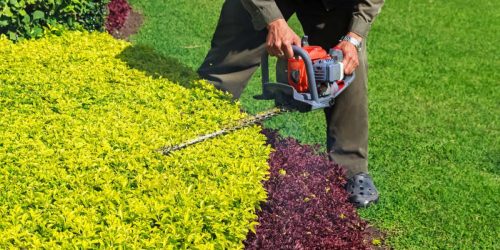 Lawn Mowing, Lawn Care, Mowing Company, Grass Cutting, Shrub Trimming, Lawn Maintenance, Free Estimate