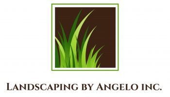 Logo of green grass sod with brown background.