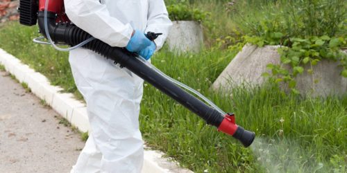 Mosquito Control Application, Mosquito Application Service, Organic Mosquito Solution, Mosquito Exterminator, Free Estimate