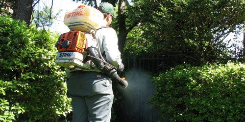 Mosquito Control Application, Mosquito Application Service, Organic Mosquito Solution, Mosquito Exterminator, Free Estimate