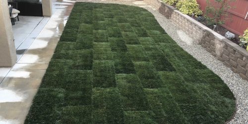 Sod Installation, New Lawn Installation, Sod Installation Contractor, Grass Installation, Free Estimate