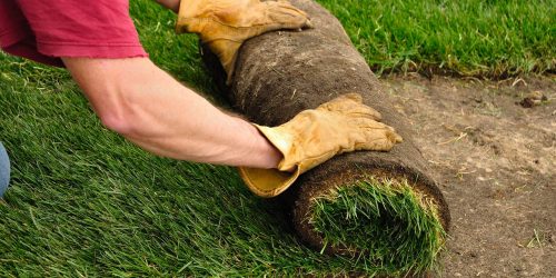 Sod Installation, New Lawn Installation, Sod Installation Contractor, Grass Installation, Free Estimate