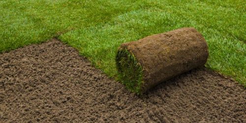 Sod Installation, New Lawn Installation, Sod Installation Contractor, Grass Installation, Free Estimate